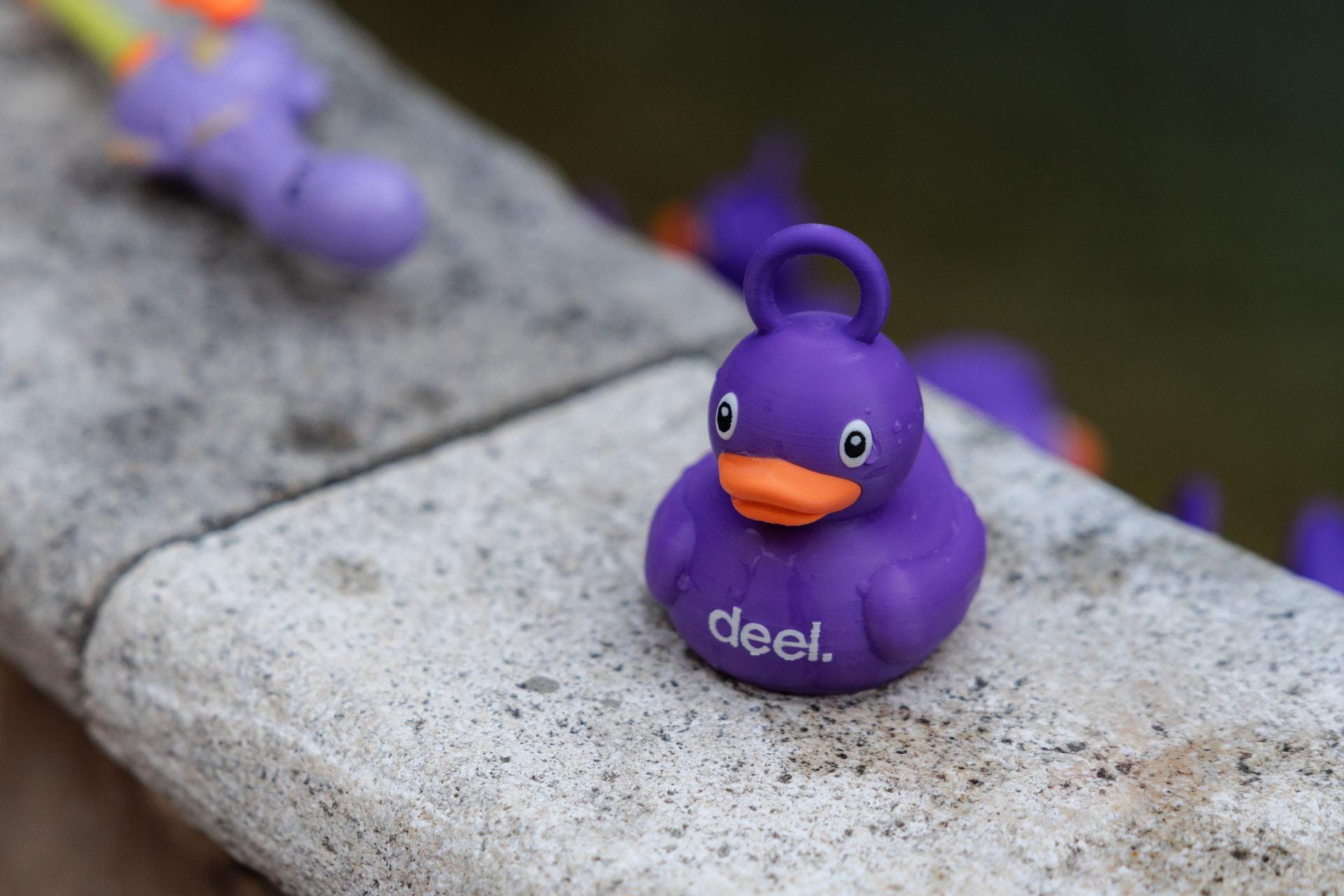 A purple duck with the deel. logo sitting on the stone fountain edge, with more ducks floating behind it
